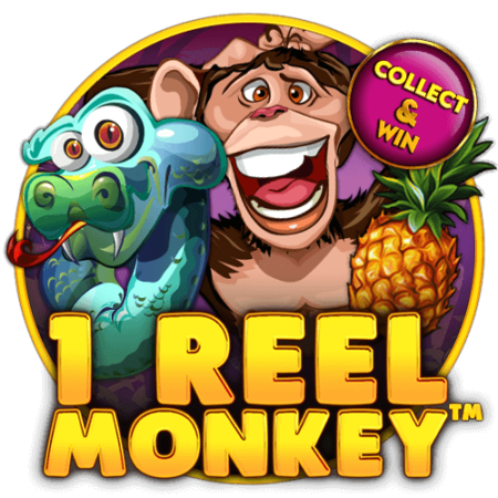 1 REEL MONKEY