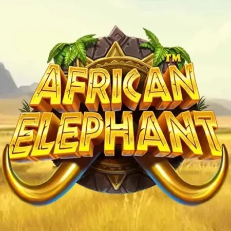 African Elephant
